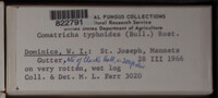 Image Associated With the Occurence